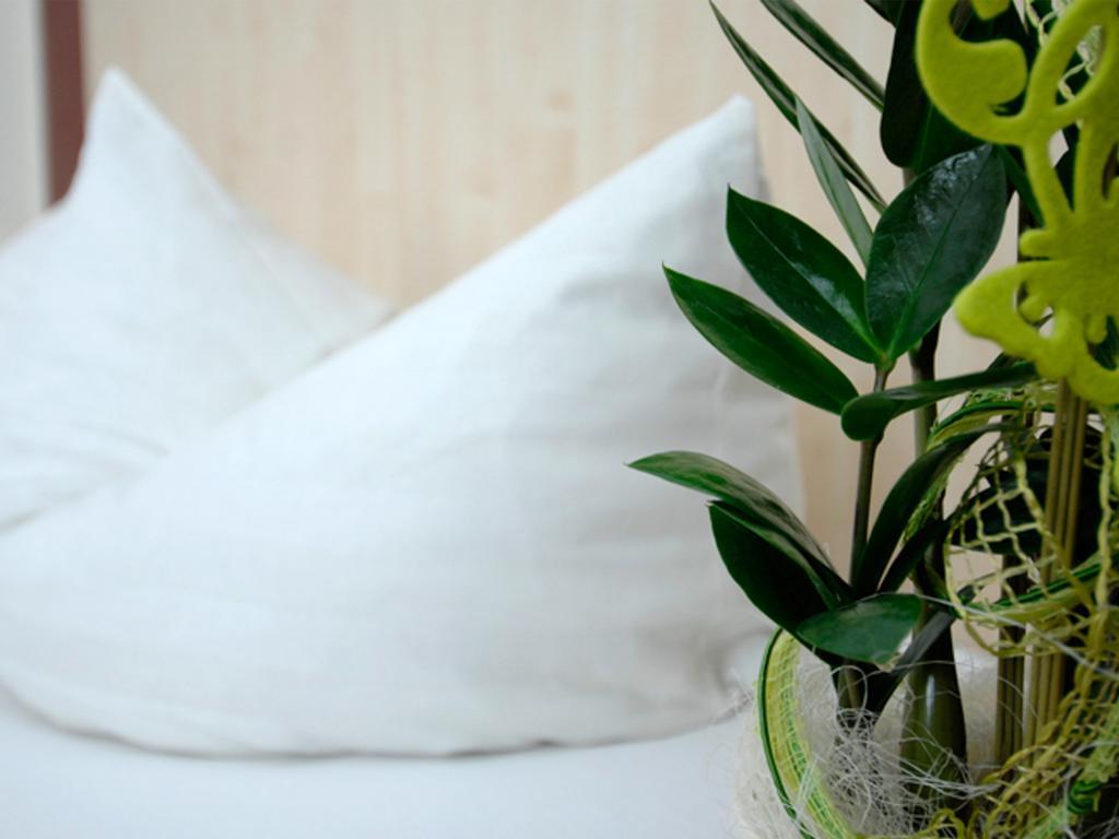 Land-Gut Hotel Zum Loewen Garni マルクトハイデンフェルト 部屋 写真